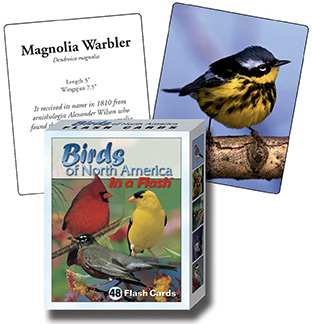 Birds of North America Flash Cards