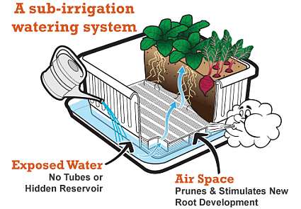 Metro-Grower Elite Sub-Irrigation Garden Container