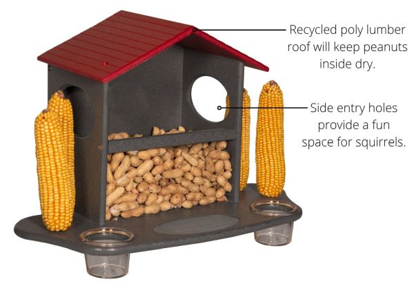 Large Squirrel Snack Station II Cardinal Red and Gray