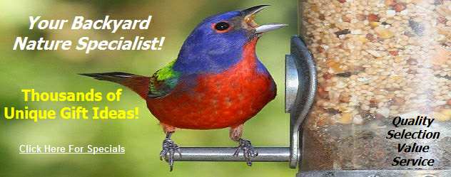 Your Backyard Nature and Gift Specialist!