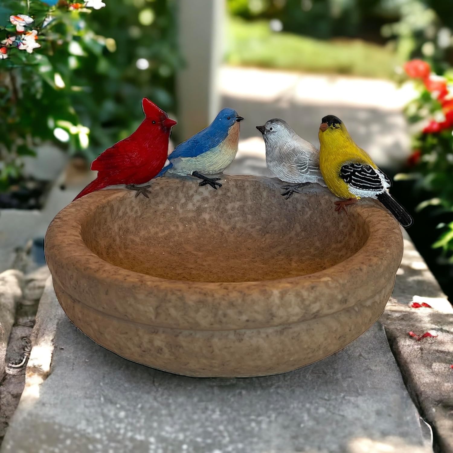 Backyard Birds Birdbath and Feeder