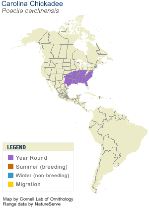 Carolina Chickadee Range Map