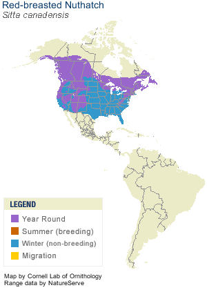Red-breasted Nuthatch Range Map