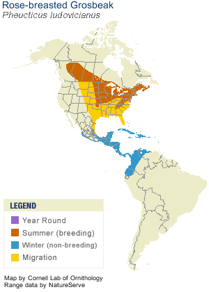 Rose-breasted Grosbeak Range Map