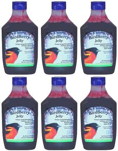 BirdBerry Jelly 20 Ounce Squeezable Bottle 6/Pack