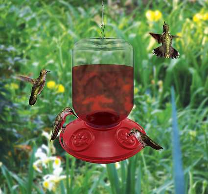 Dr. JB's Switchable 48 Ounce Capacity Feeder