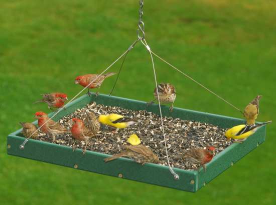 Recycled Plastic Large Hanging Platform Feeder - Seed Catcher