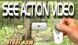 See Squirrel Boss Bird Feeder in Action!