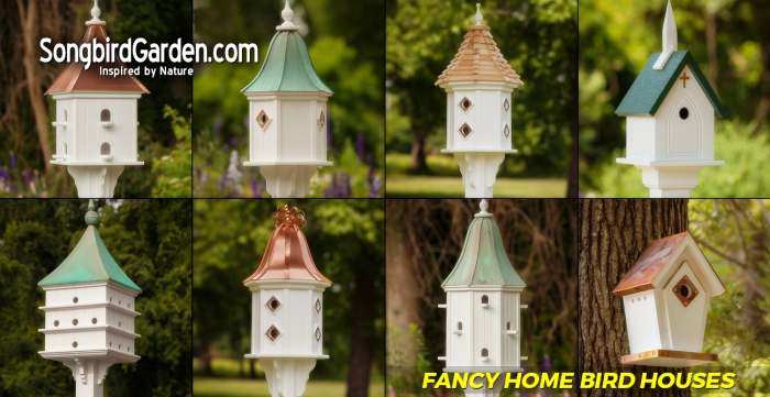 Songbird Fancy Bird Houses