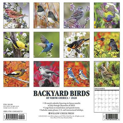 2020 Backyard Birds of North America Calendar