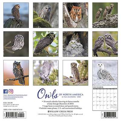 2020 Owls Calendar