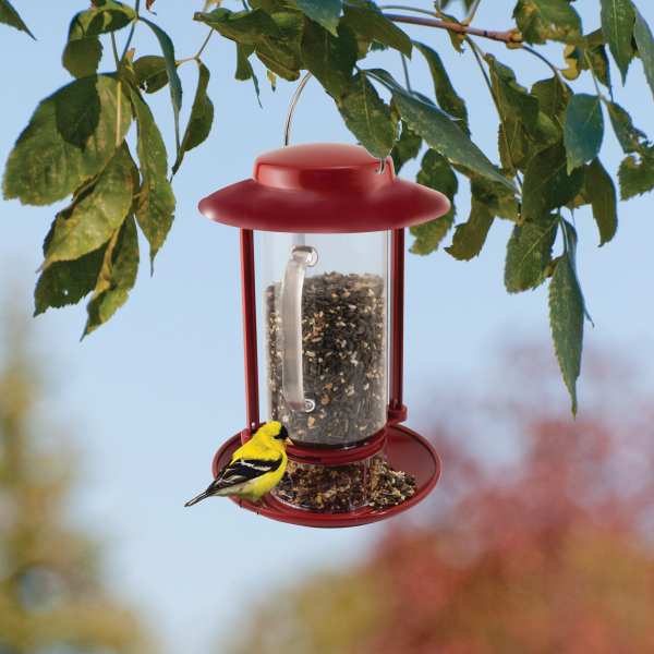 Audubon Combination Hopper Seed Scoop Bird Feeder