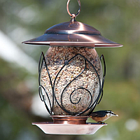 Decorative And Functional Bird Feeders At Garden