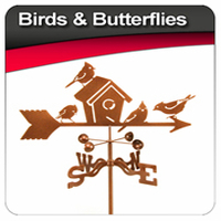 Birds & Butterflies