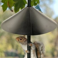 Pole Squirrel Baffles