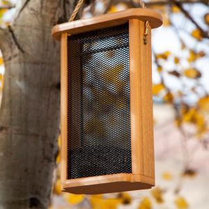 Spruce Creek Collection Feeders and Houses