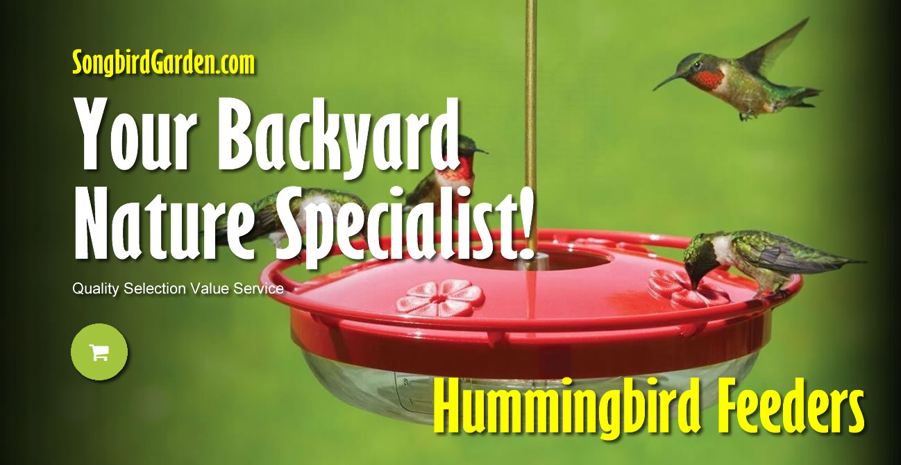 Hummingbird Feeders