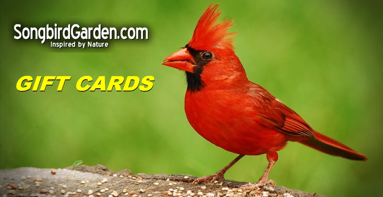 Songbird Garden Gift Cards