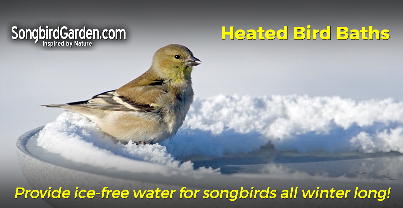 Heated Bird Baths