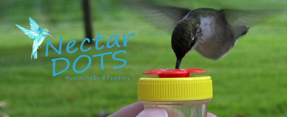 Nectar Dots Hummingbird Feeders