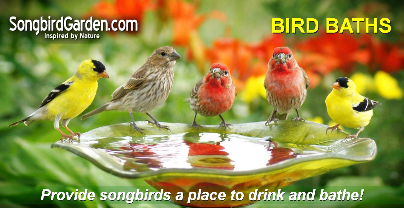 Non-Heated Bird Baths