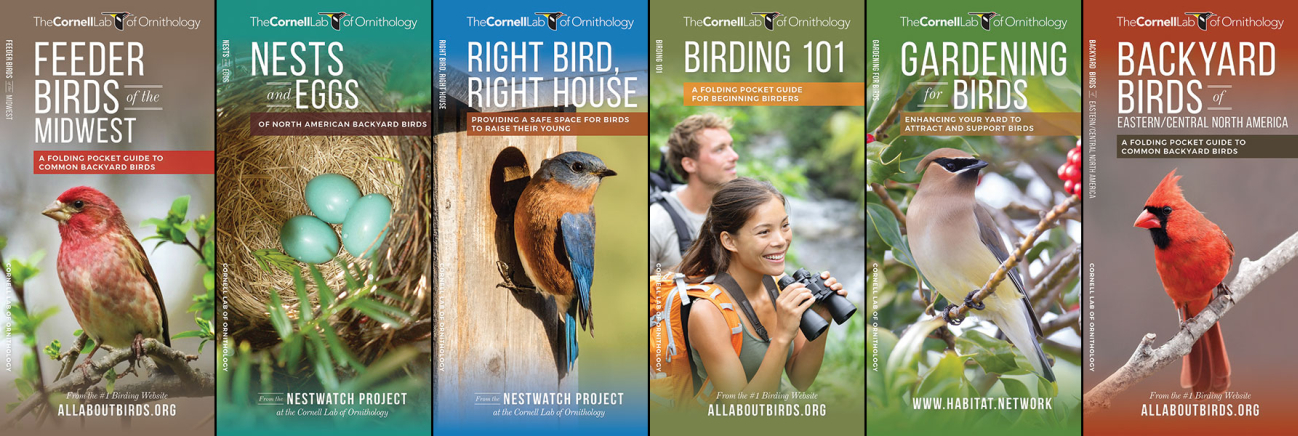 Waterford Press Birding Pocket Naturalist Guides