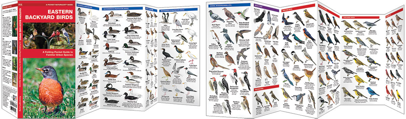 Waterford Press Regional Pocket Naturalist Guides