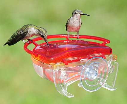 window mounted hummingbird feeders window hummingbird window mounted hummingbird feeders window hummingbird