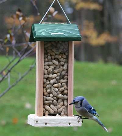 specialty bird feeders for feeding wild birds quality specialty bird feeders for feeding wild birds quality