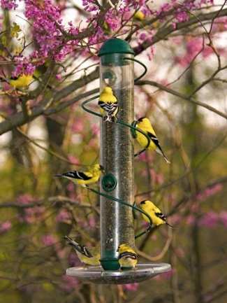 Bird Quest 17" Green Spiral Sunflower Feeder