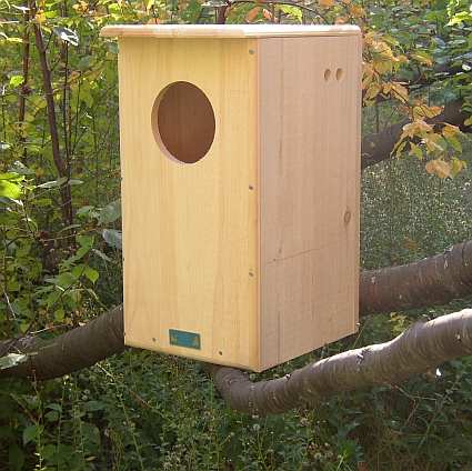 Owl House, Barred Owl Nesting Box, Barred Owl Houses, Quality Owl 