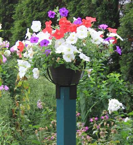 Pot Post Pot Post