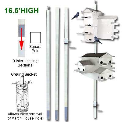 purple martin house accessories poles parts and purple martin house accessories poles parts and
