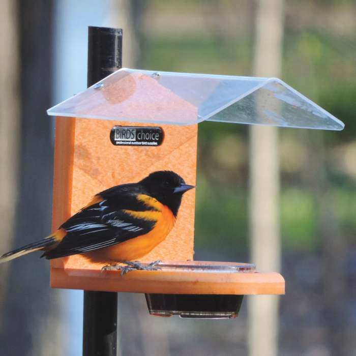 Recycled Pole Mount Oriole Jelly Feeder w/Roof