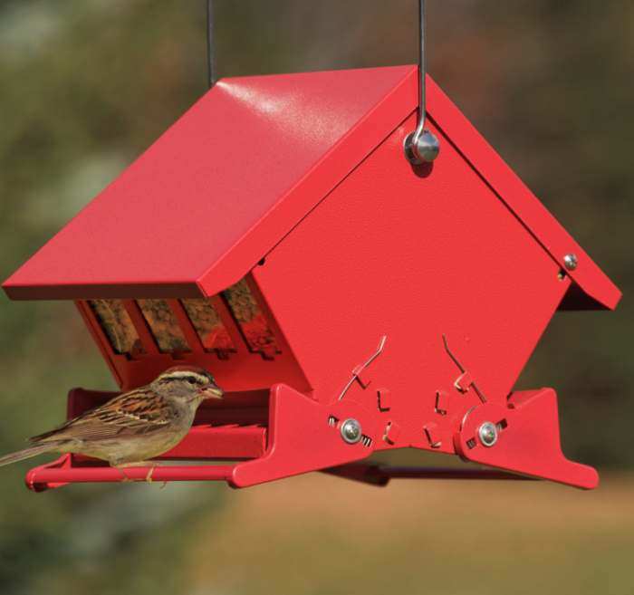 Heritage Farms HF7458 Mini Absolute II Mixed Seed Feeder Double Sided Feeding for sale online 