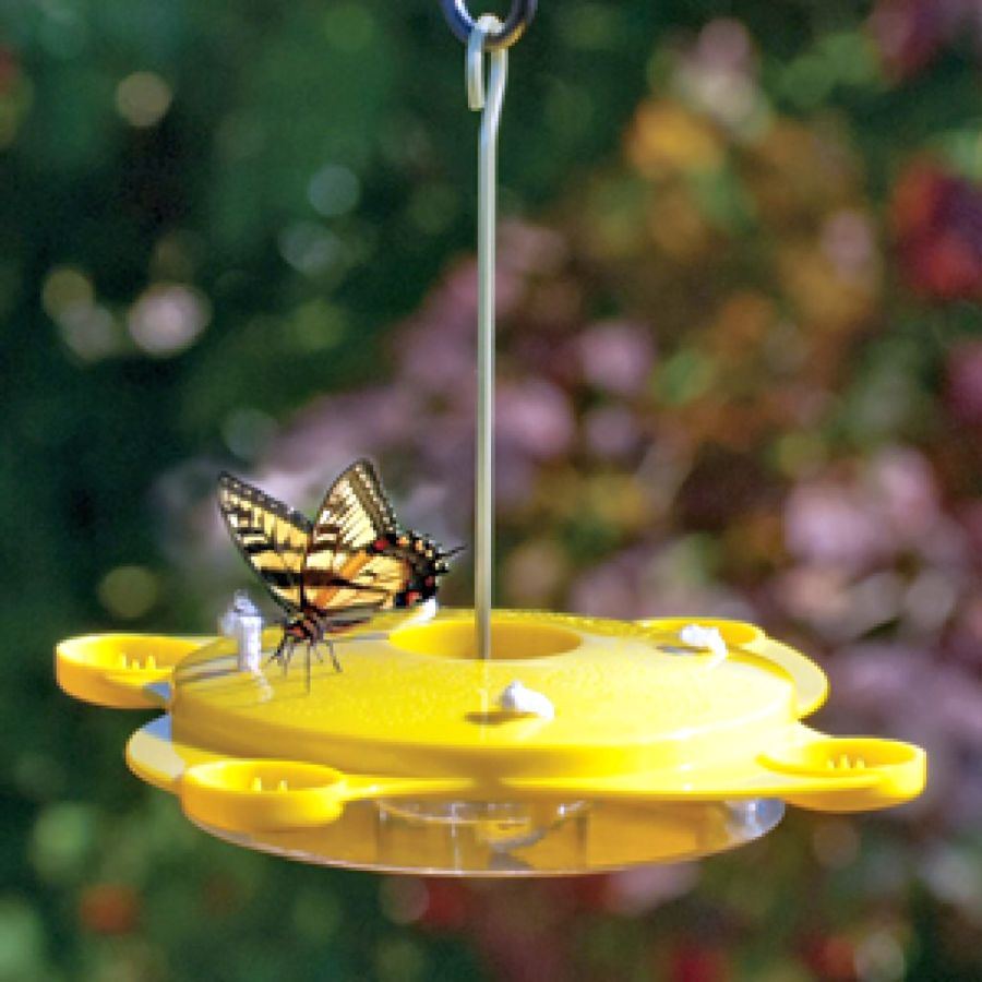 Audubon Butterfly Feeder Yellow
