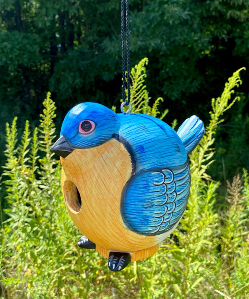 For The Birds Gord-O Bluebird Bird House
