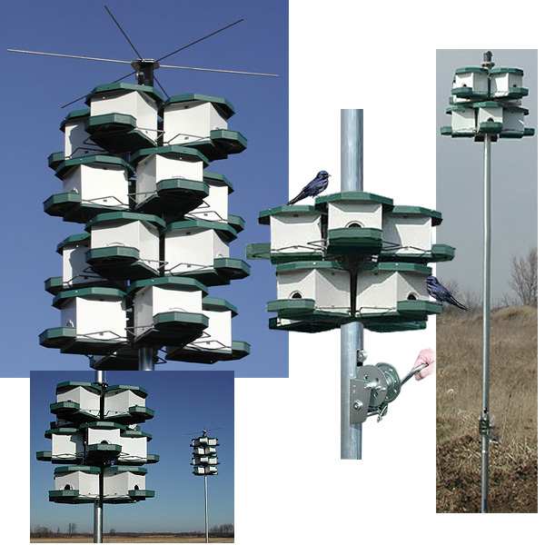Heritage Farms Purple Martin Top Perch Unit