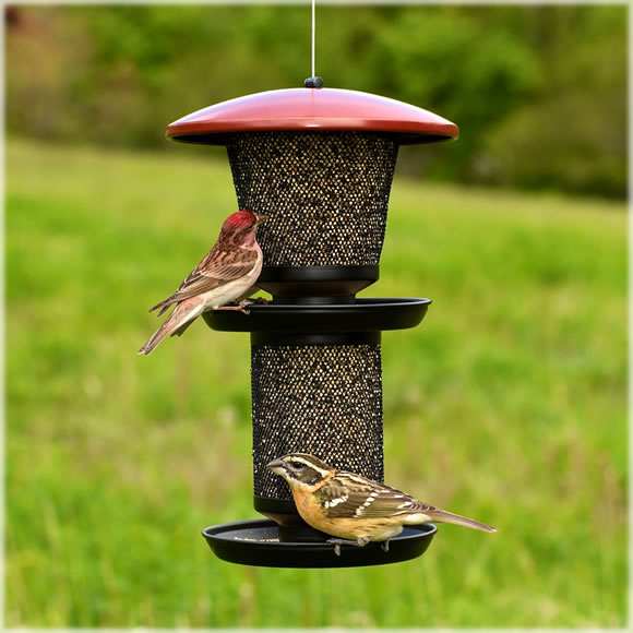 No/No Red & Black Multi-Tiered Mixed Seed Feeder