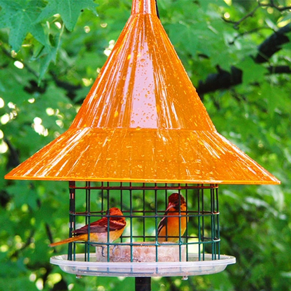 Sky Cafe Oriole Feeder