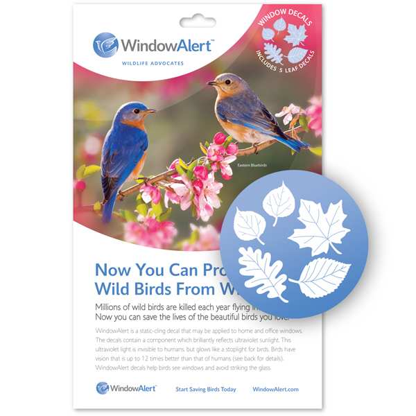 WindowAlert Bird Anti-Collision Leaf Medley Decals