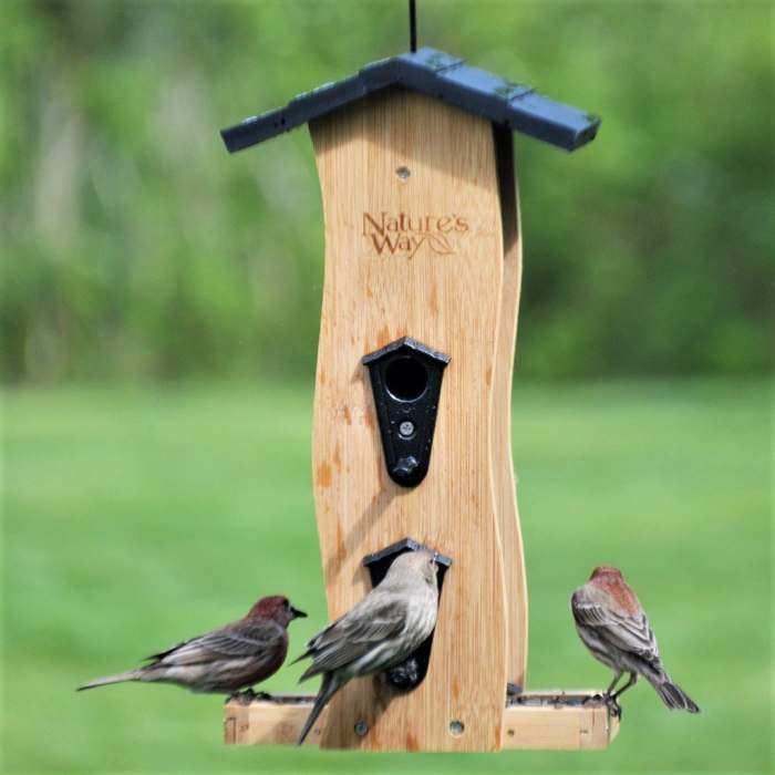 Bamboo Vertical Wave Bird Feeder