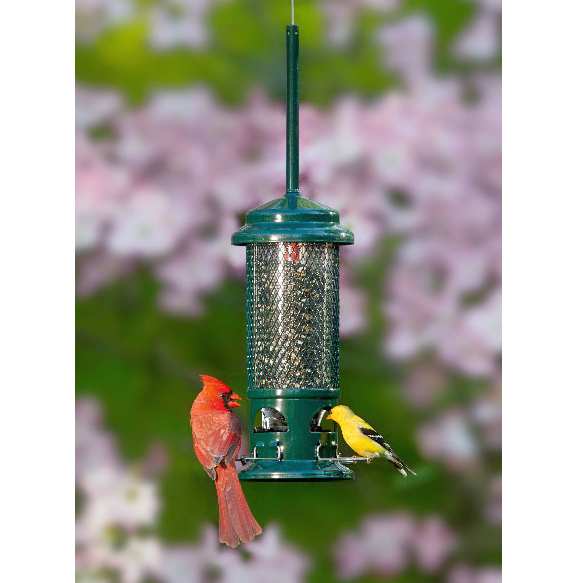 Squirrel Buster Standard Bird Feeder