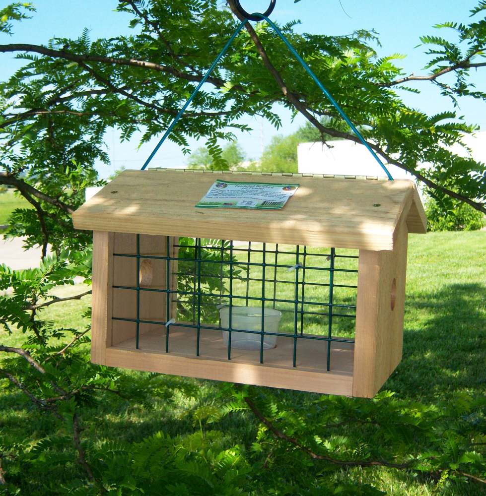 Songbird Cedar Protected Bluebird Jail Feeder