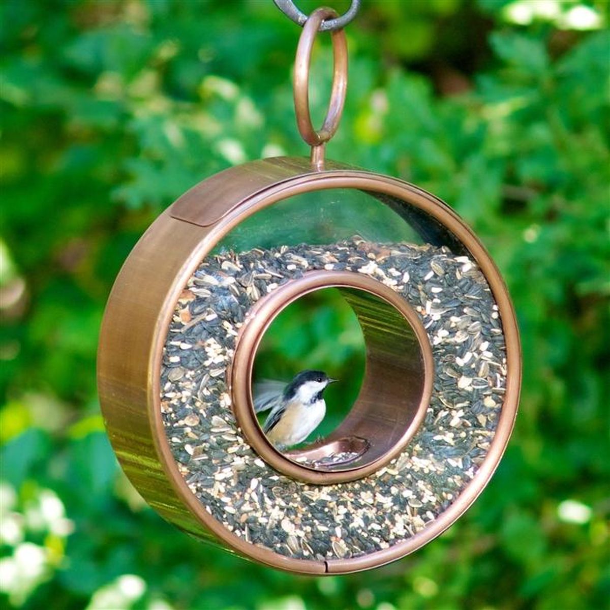 Fly-Through Circle Bird Feeder Copper