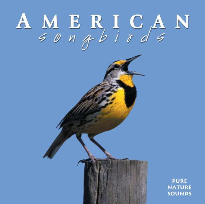 Naturescapes American Songbirds CD