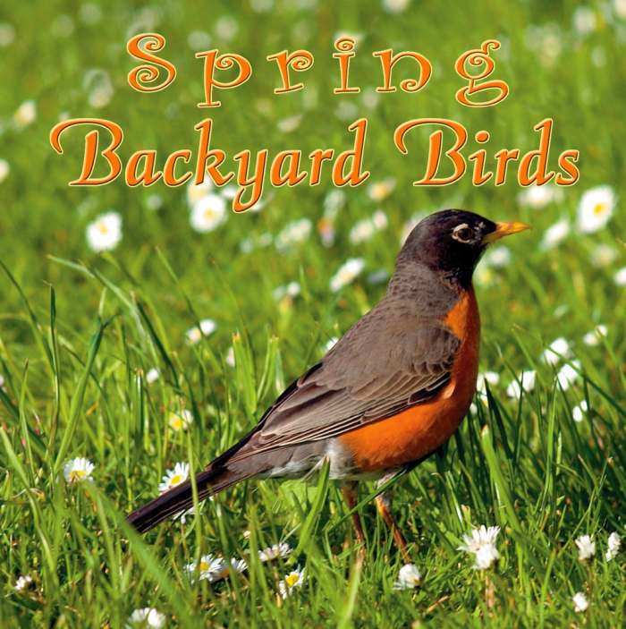 Spring Backyard Birds CD