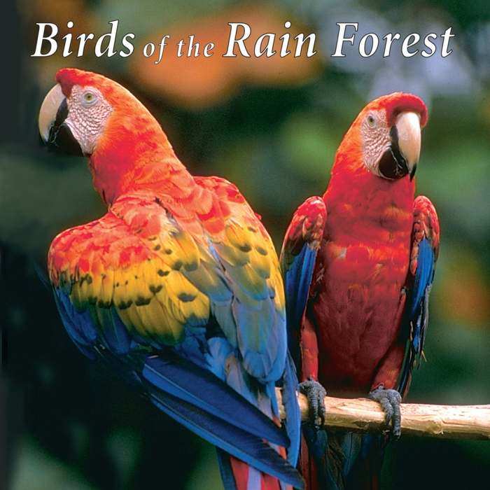 Naturescapes Birds of the Rain Forest CD