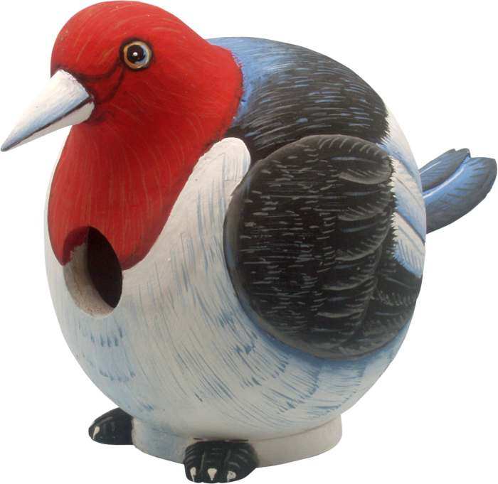 For The Birds Gord-O Woodpecker Bird House