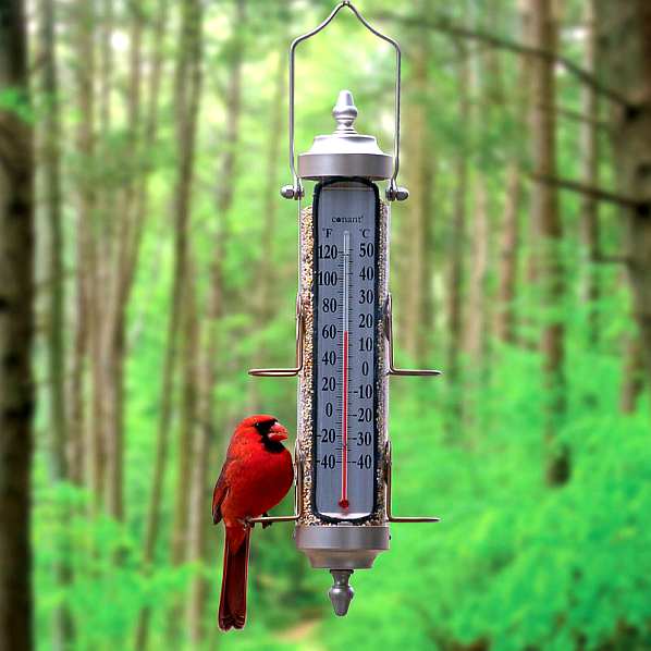Grande View Bird Feeder Thermometer